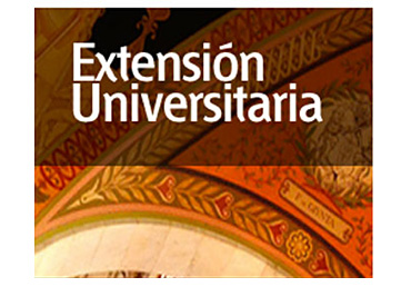 extension-2