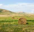 A UNED convoca dez prazas para prácticas extracurriculares na contorna rural dentro do programa Campus Rural